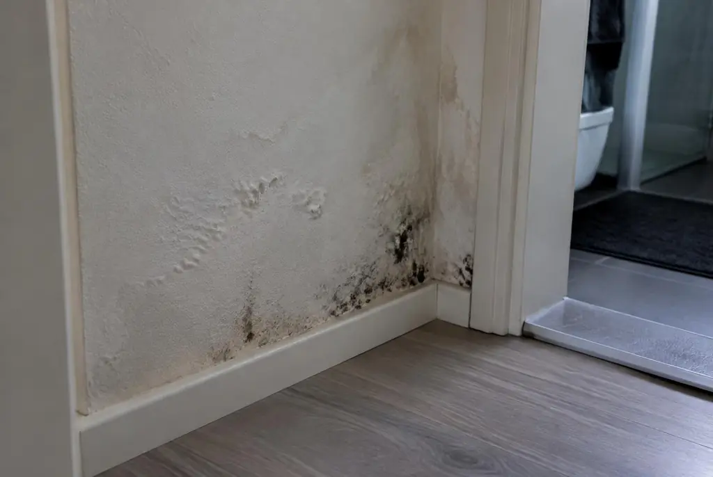 Lekdetectie Buren – vochtplek met schimmel op een muur